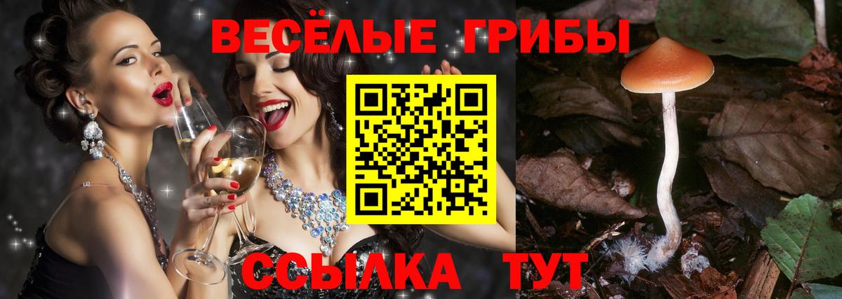 Саяногорск  Галлюциногенные грибы Magic Shrooms  Вход с VPN 